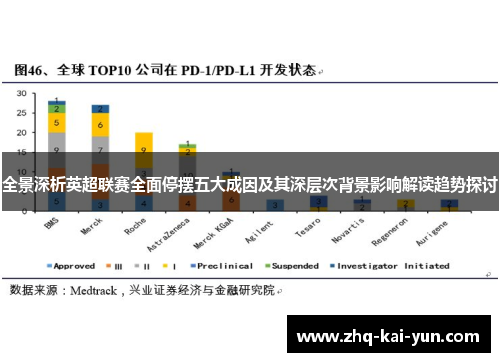 全景深析英超联赛全面停摆五大成因及其深层次背景影响解读趋势探讨