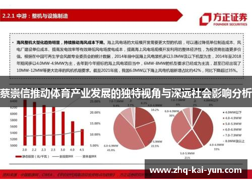 蔡崇信推动体育产业发展的独特视角与深远社会影响分析