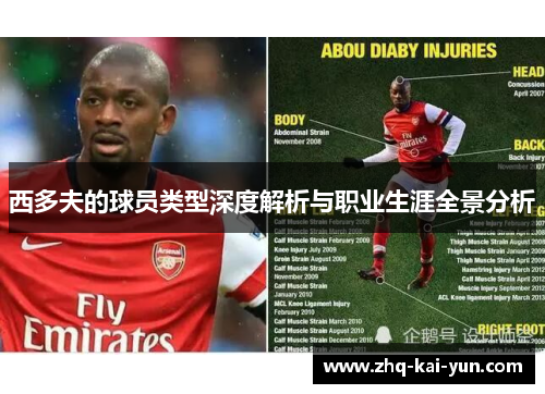 西多夫的球员类型深度解析与职业生涯全景分析